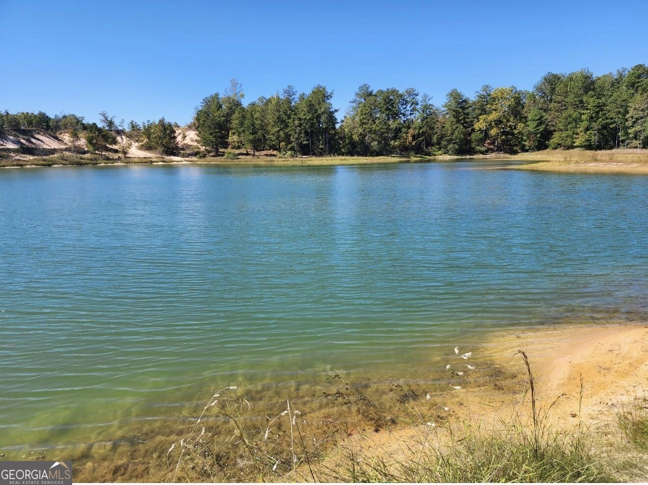 Property Photo: 0 Neal Road GA 31812