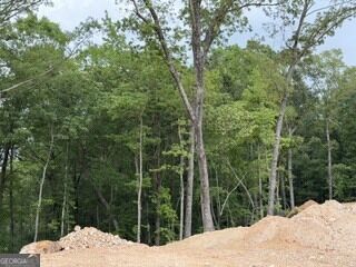 Property Photo:  2180 Dunn Rd Road  GA 30258 