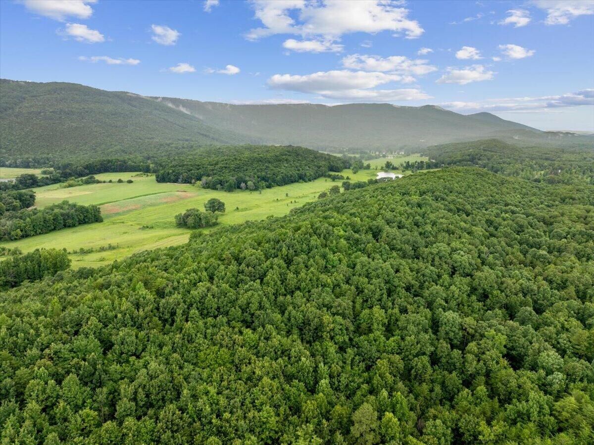 Property Photo:  00 Fricks Gap Road  GA 30707 