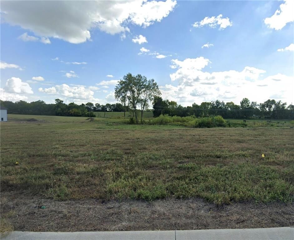 Property Photo:  24205 E 105th Street  MO 64086 