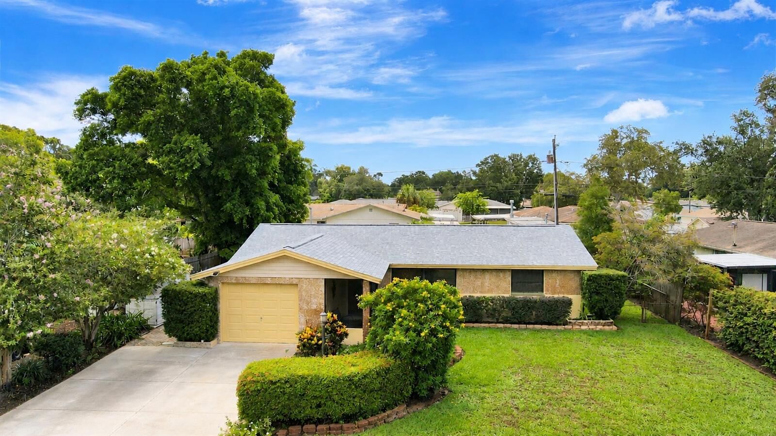 Property Photo:  8165 Lark Street  FL 33777 