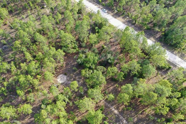 Property Photo: 0000 NE 131 Lot 9 Terrace FL 32696