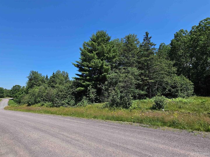 Property Photo:  Tbd Parcel M24 River Trails Road  MI 49931 