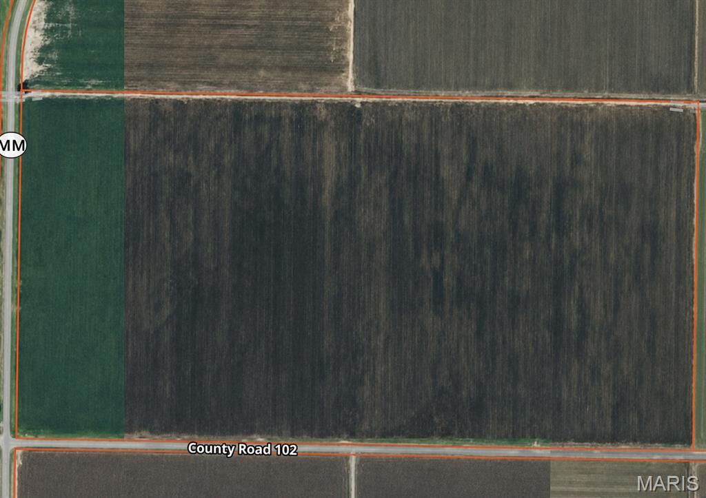 Property Photo:  43096 State Highway Mm  MO 63863 