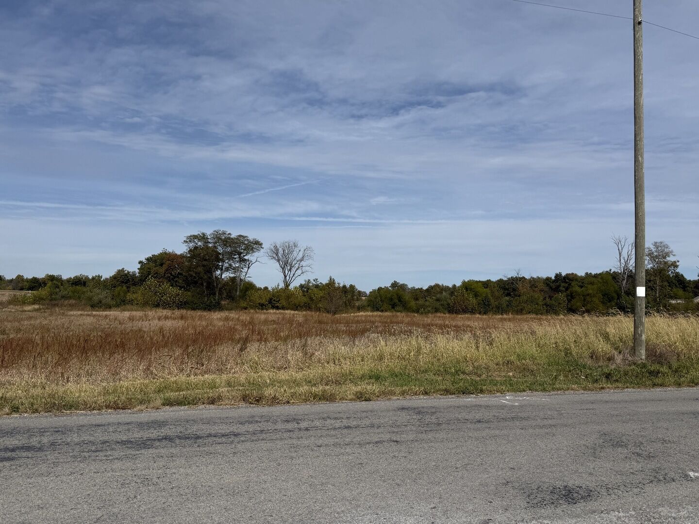 Property Photo: 0000 S Market Street IL 62959