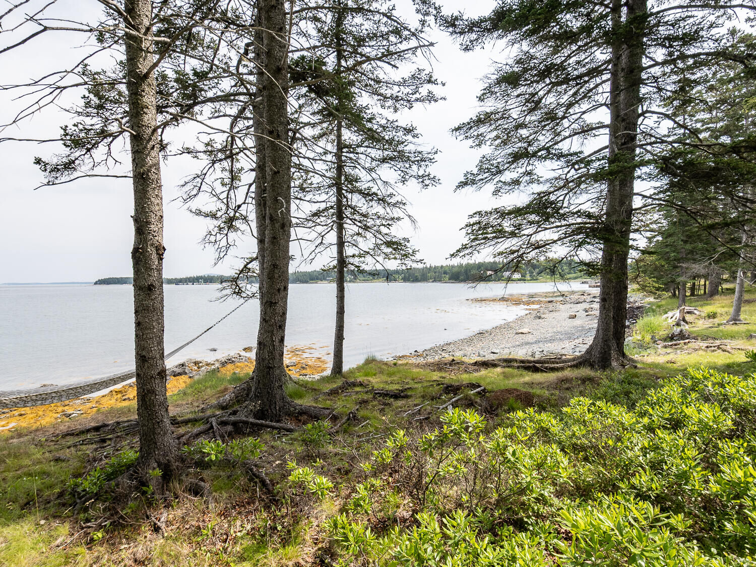 Property Photo: 43 Steamboat Road ME 04685