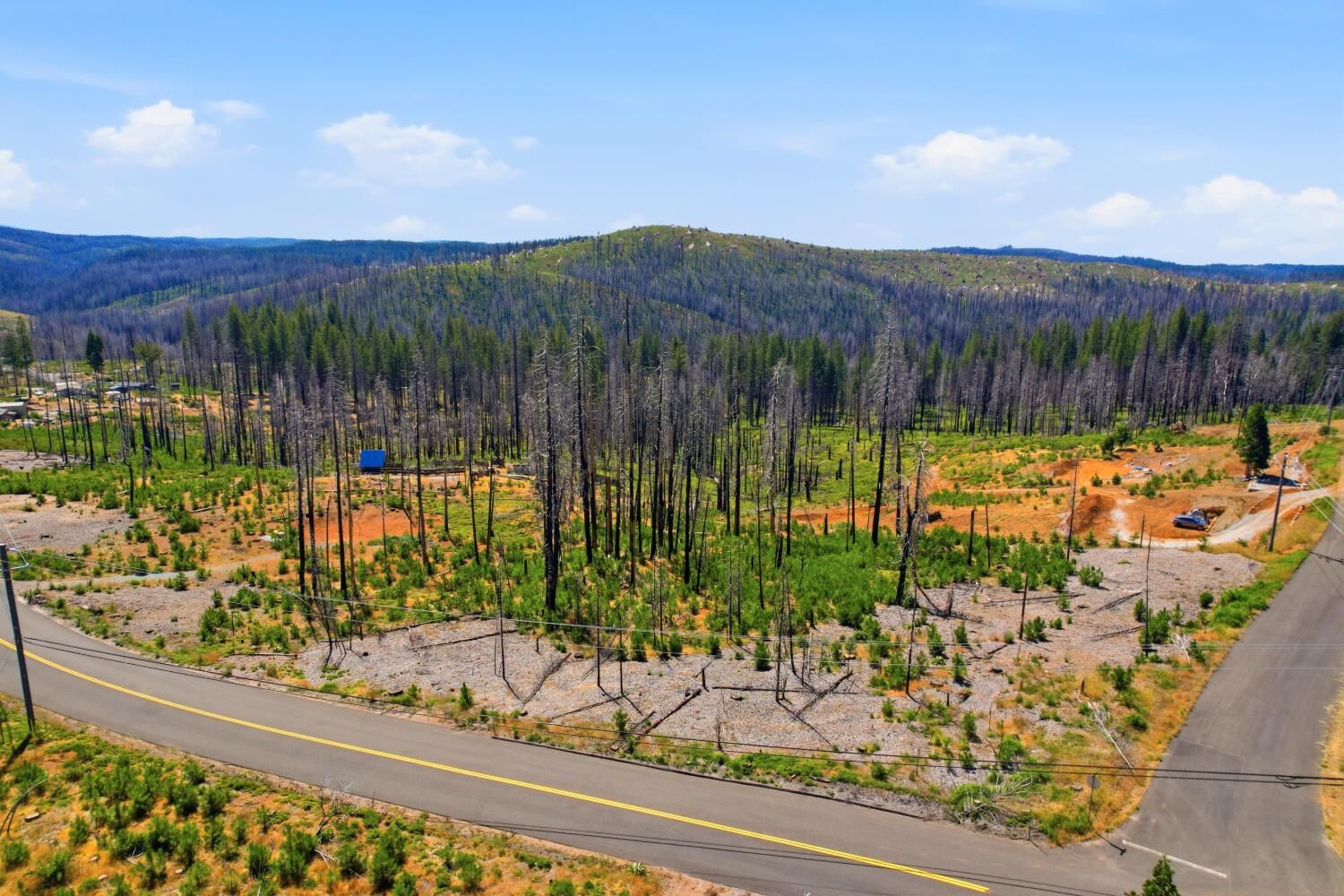 Property Photo:  112 Grizzly Flat Road  CA 95636 