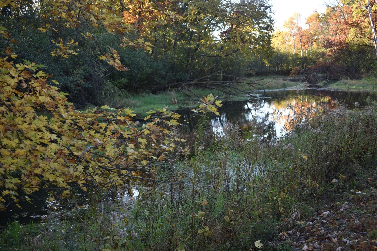 Property Photo:  5470 Rowland Road  MN 55343 
