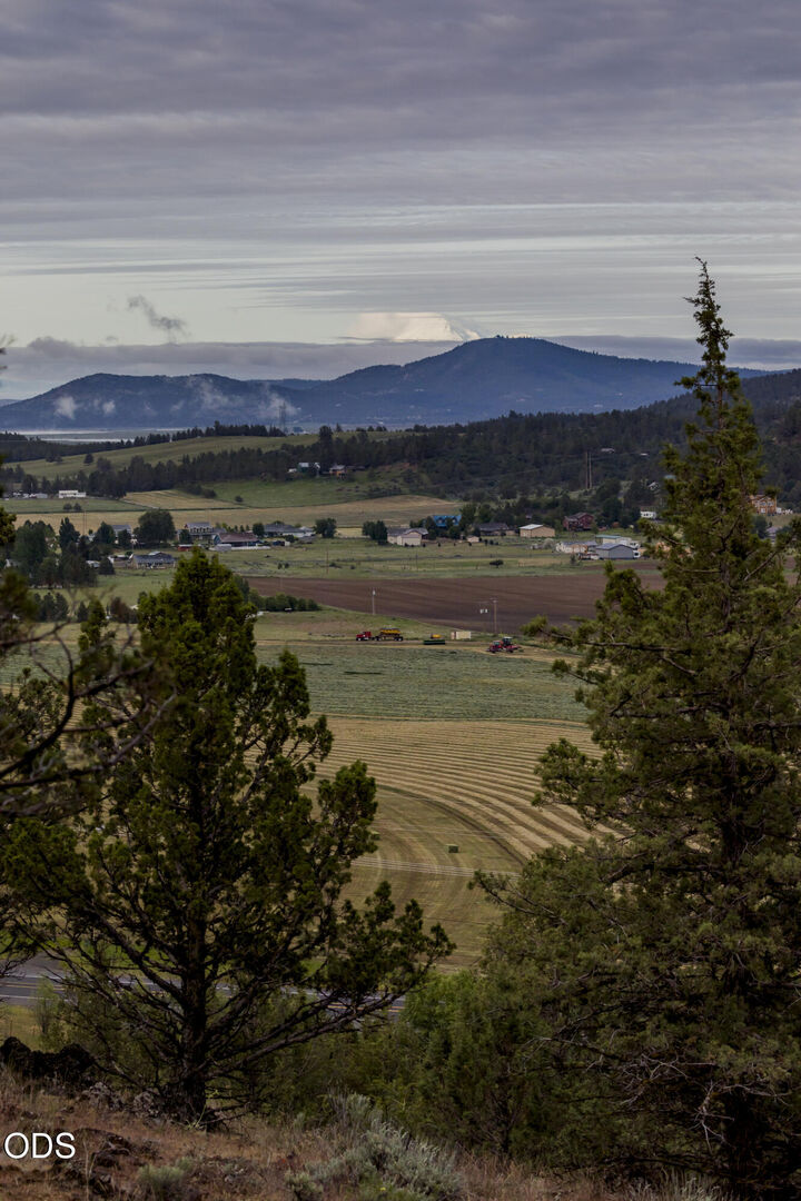 Property Photo:  1116 Vine Maple Drive  OR 97601 