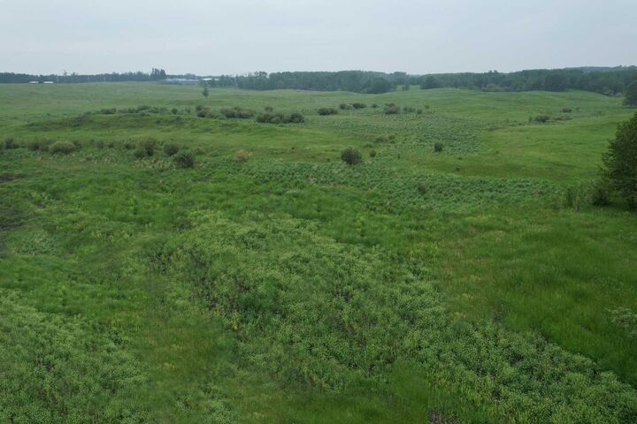 Property Photo:  On Township Road 422 Lot 7  AB T0C 2J0 