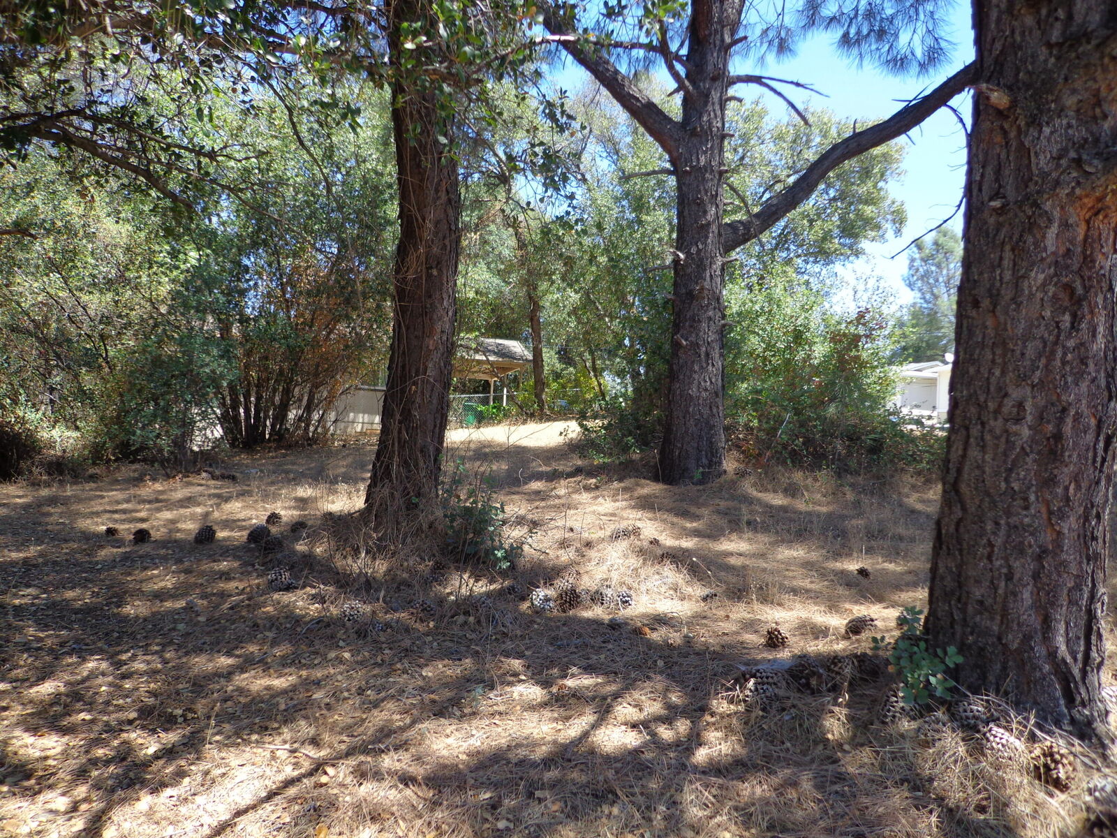 Property Photo:  Elizabeth Street  CA 96019 