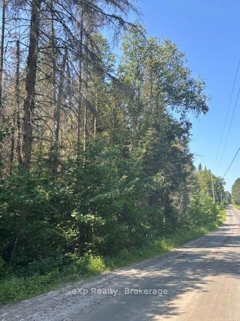 2A Pt Lt 12 Con 2 Boundary Road — photo 1