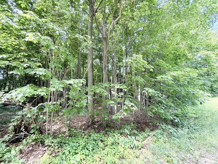 Property Photo: 0 Chasm Road Lot 2 NY 12944
