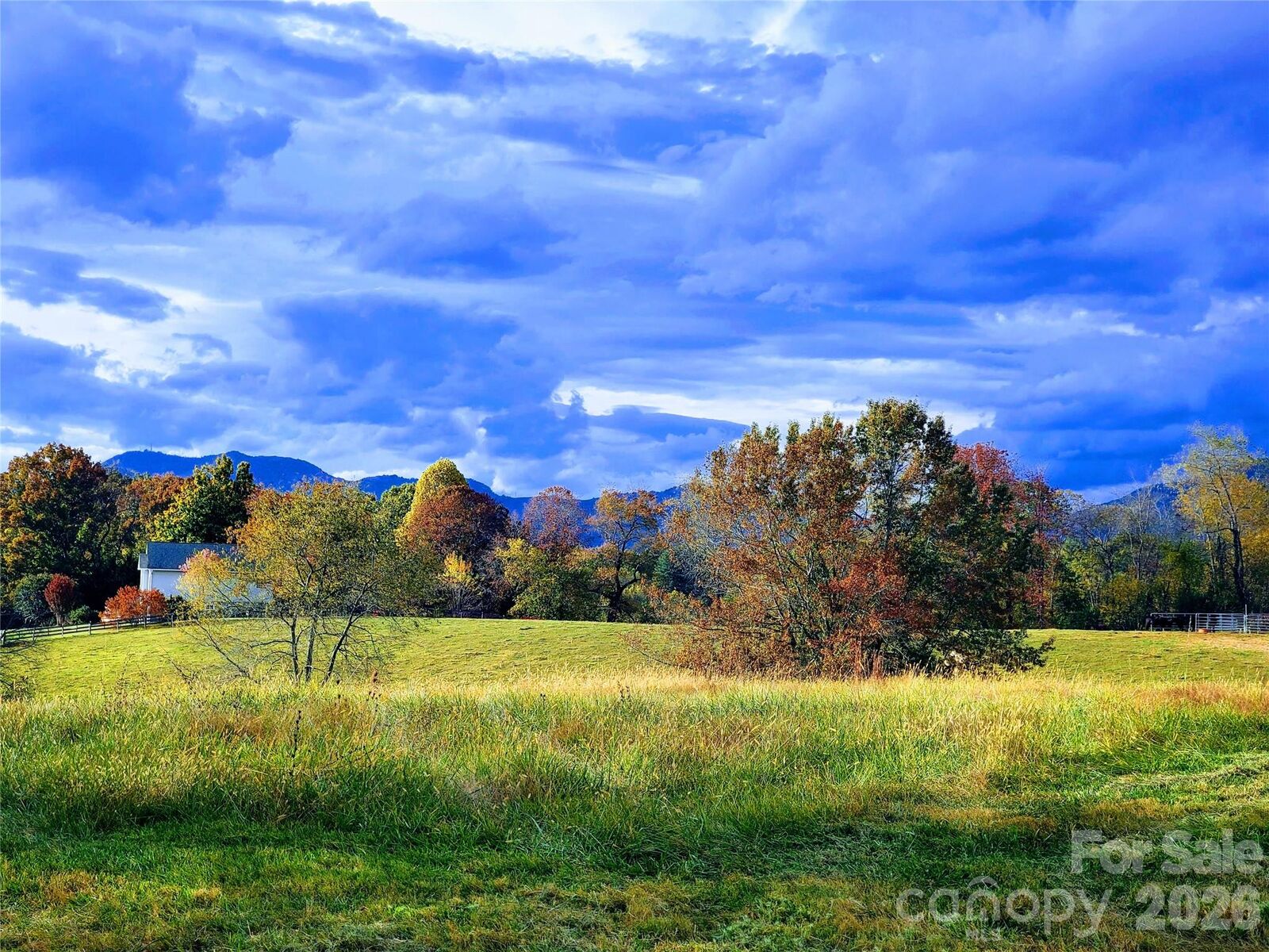 Property Photo: 1686 Dutch Cove Road NC 28716