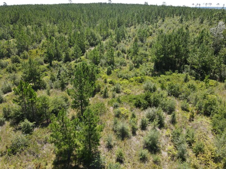 Property Photo:  A-12 Silas Drive  FL 32570 