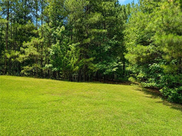 Property Photo: 30 Cornish Trace Drive GA 30014
