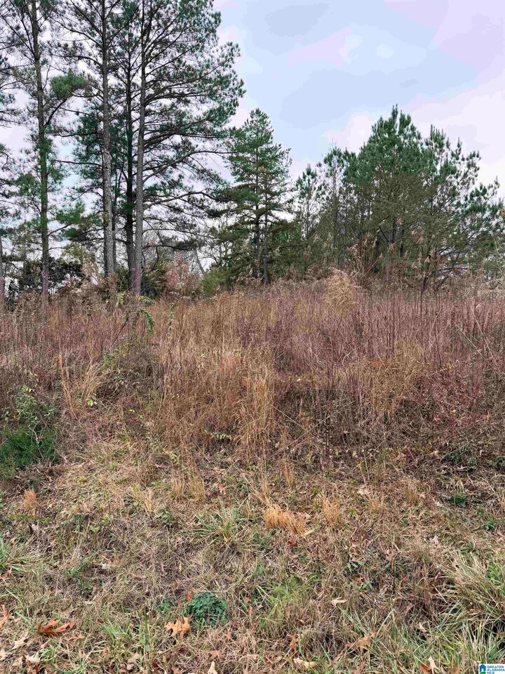 Property Photo: 0 Indian Hills Road 0 AL 35079