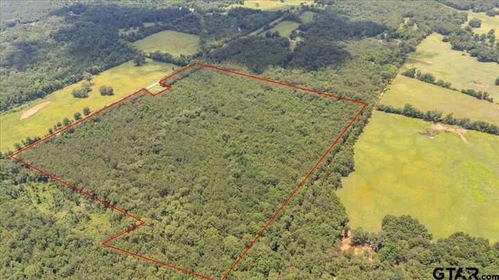 Property Photo: Tbd 50.795 Ac Fm 2496 TX 75681