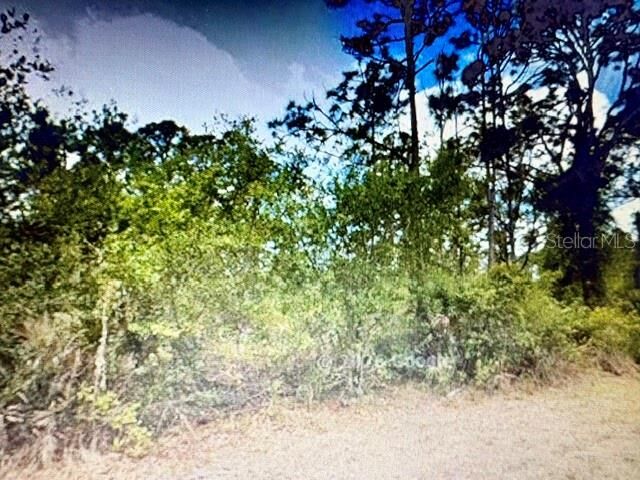 Property Photo:  13153 Selzer Avenue  FL 33953 