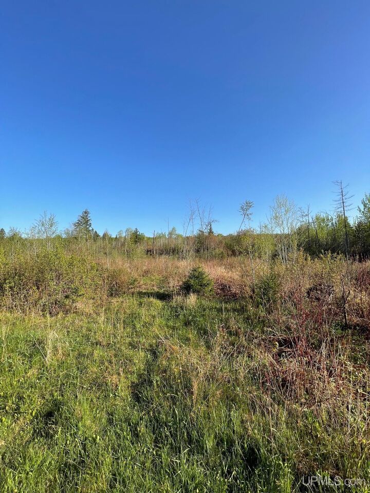 Property Photo:  Tbd 1 Pelkie Road  MI 49958 