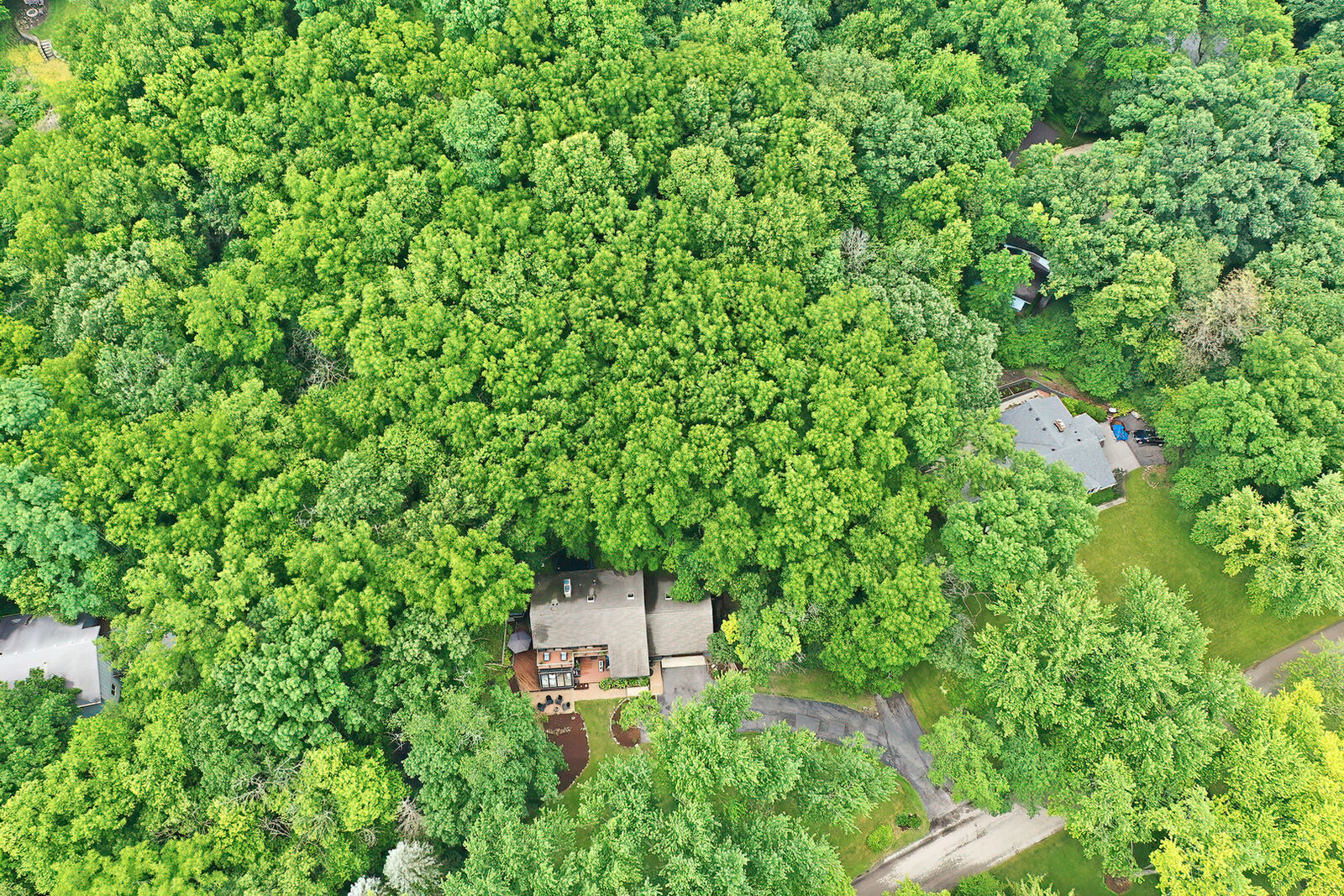 Property Photo:  118 Brookbridge Road  IL 60013 