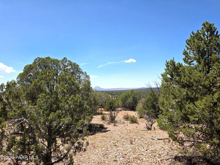 Property Photo:  3200 W Poppy Road  AZ 86320 