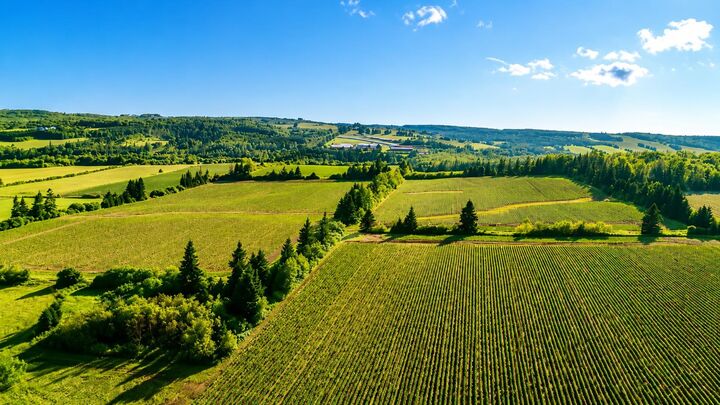 Property Photo:  Riverdale Road Acreage  PE C0A 1Y0 