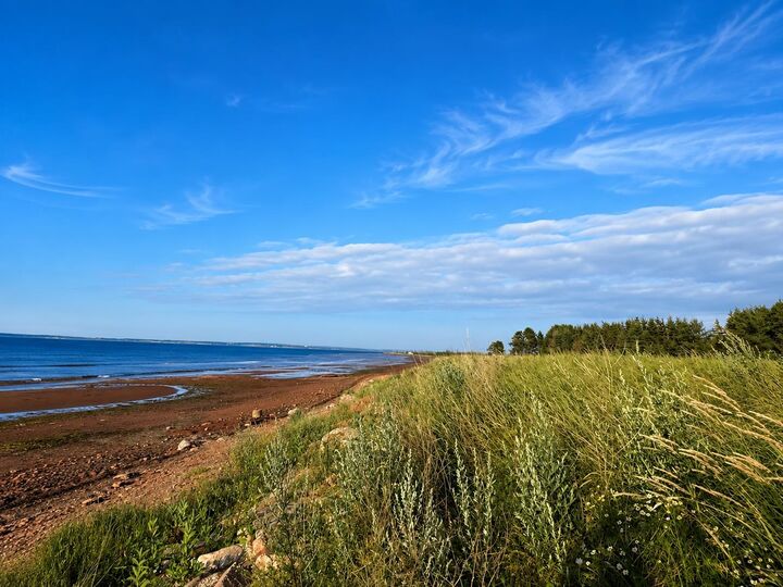 Property Photo:  6.52 Acres Locke Shore Road  PE C1N 4J8 