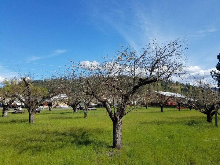 Property Photo:  1244 Peachcrest Rd  WA 99141 