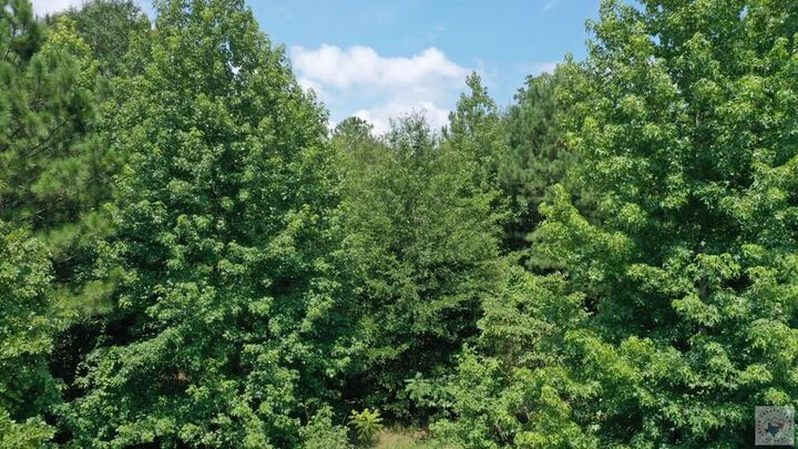 Property Photo:  0002 County Road 3885  TX 75572 