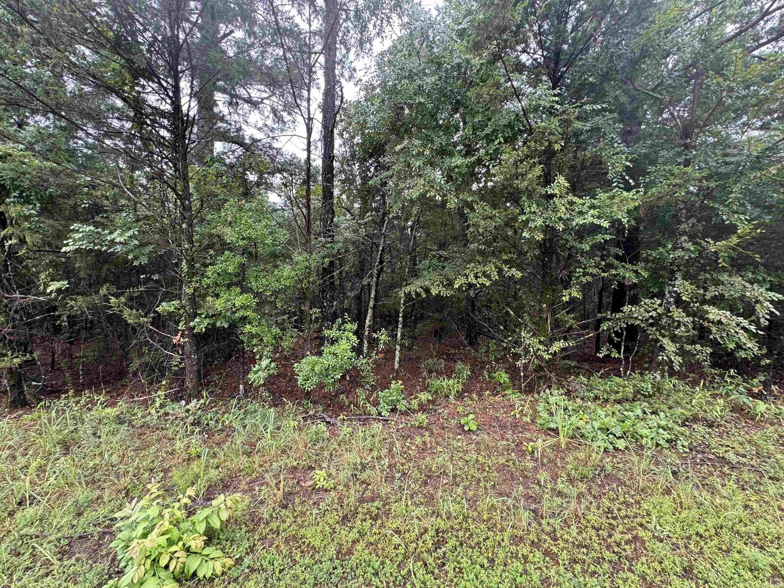 Property Photo:  000 Mitchell Road  AR 72927 