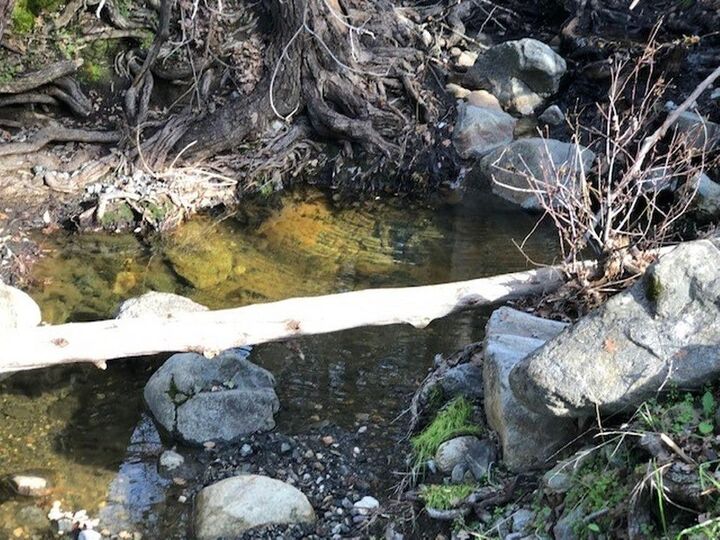 Property Photo:  0 Mountain View Peak Road  CA 93645 