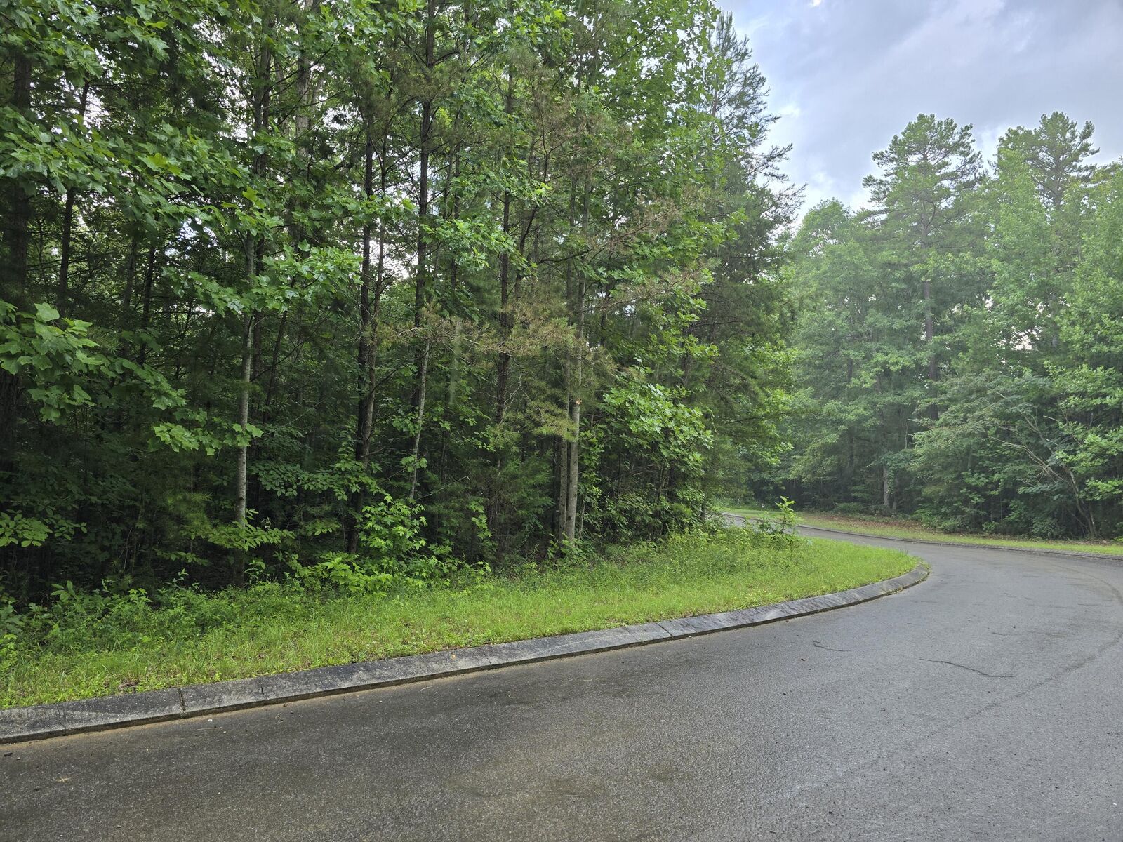 Property Photo:  Lot 156 Lower Brow Road  TN 37327 