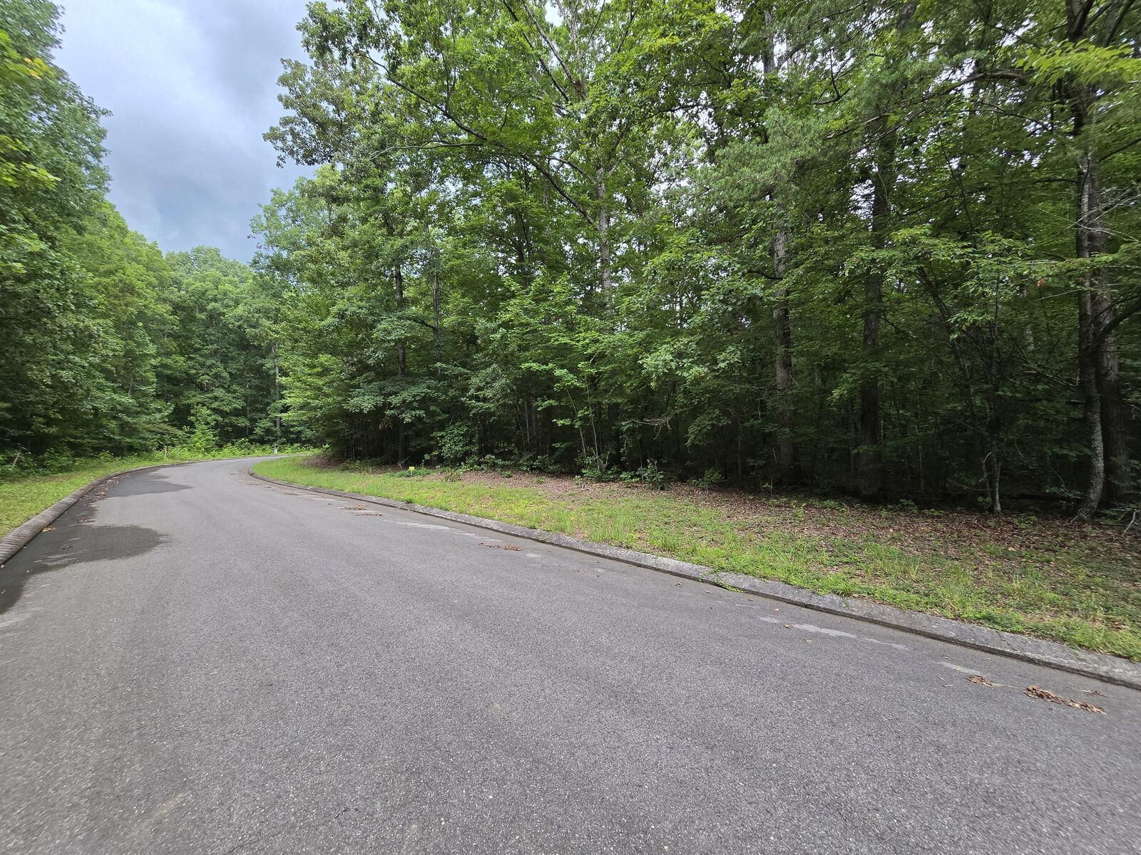 Property Photo:  Lot 140 Lower Brow Road  TN 37327 