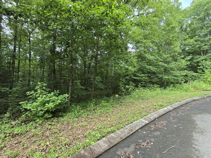 Property Photo: Lot 141 Lower Brow Road TN 37327