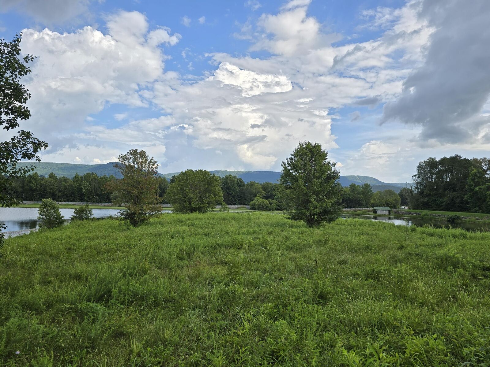 Property Photo: Lot 1 Spring Lake Drive TN 37327
