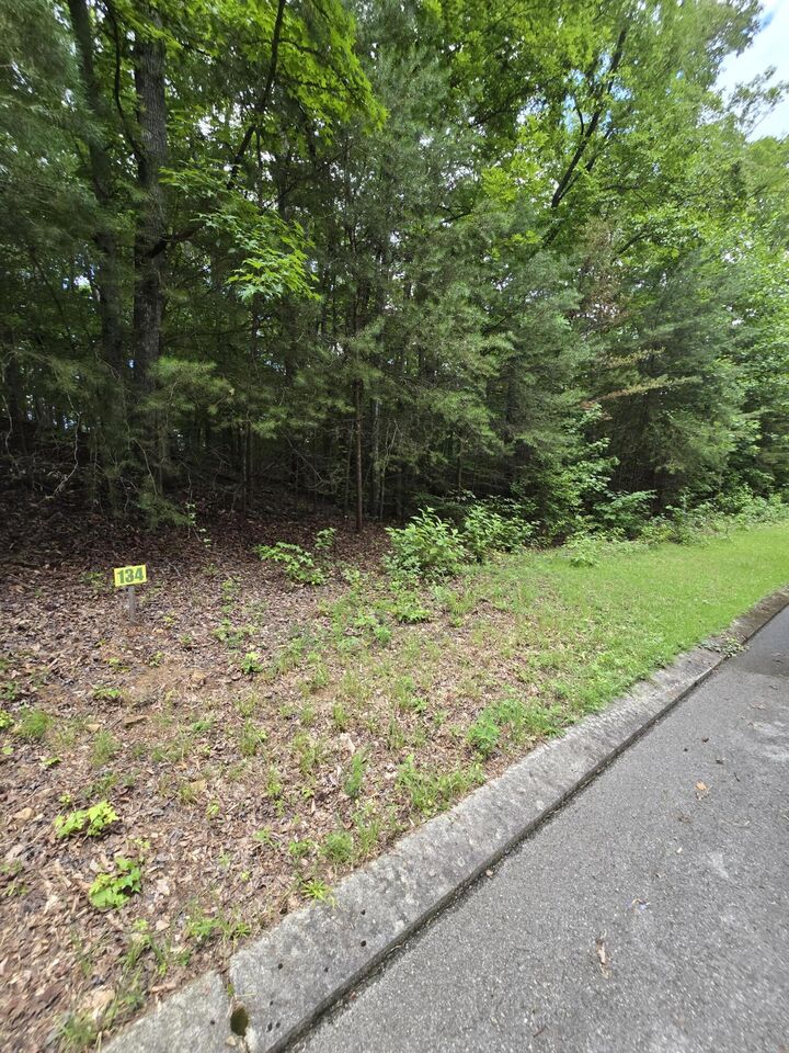 Property Photo: Lot 134 Lower Brow Road TN 37327