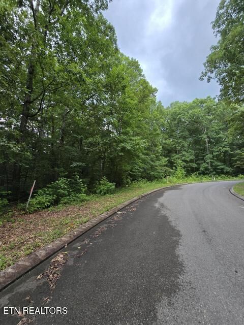 Property Photo:  Lot 141 Lower Brow Rd  TN 37327 