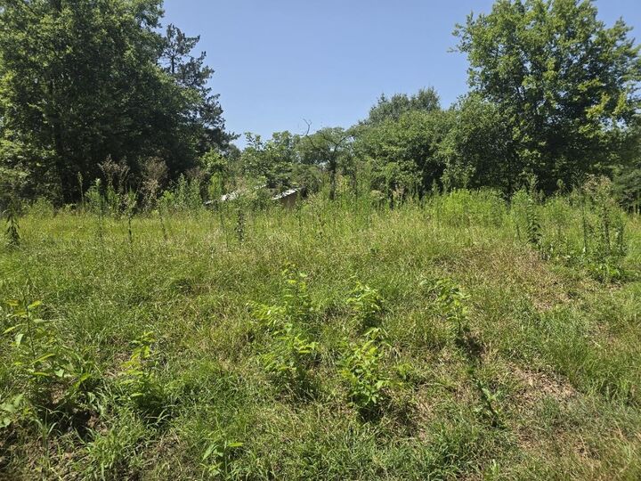 Property Photo:  307 Washington  TX 75563 