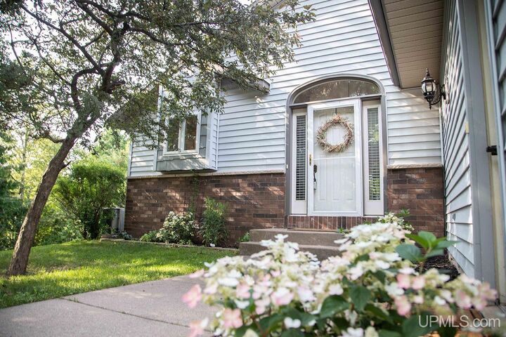 Property Photo:  223 Crestview Drive  MI 49855 