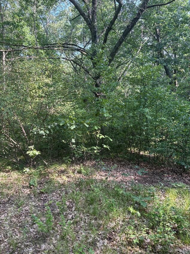 Property Photo: 8159 Roosevelt Road MI 49332
