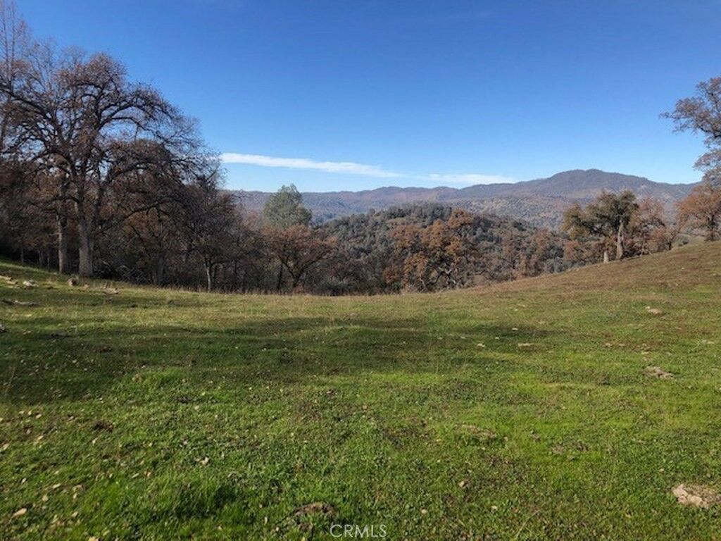 Property Photo:  157 Acres Mountain View Peak Road  CA 93645 