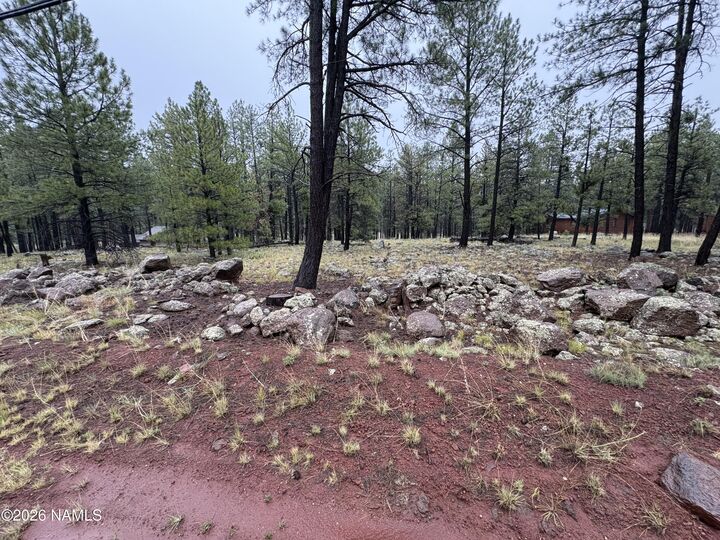 Property Photo:  787 S Friar Tuck Trail  AZ 86046 