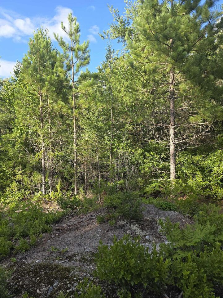 Property Photo:  94, 96, 98 Peters Drive  NS B0T 1W0 