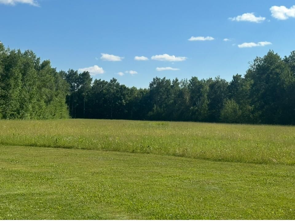 Property Photo:  38949 Nature Avenue  MN 56431 