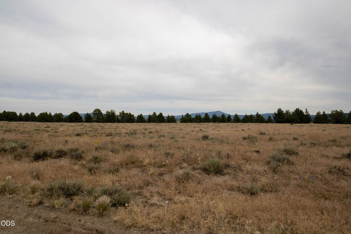 Property Photo:  Rim Drive 24  OR 97624 