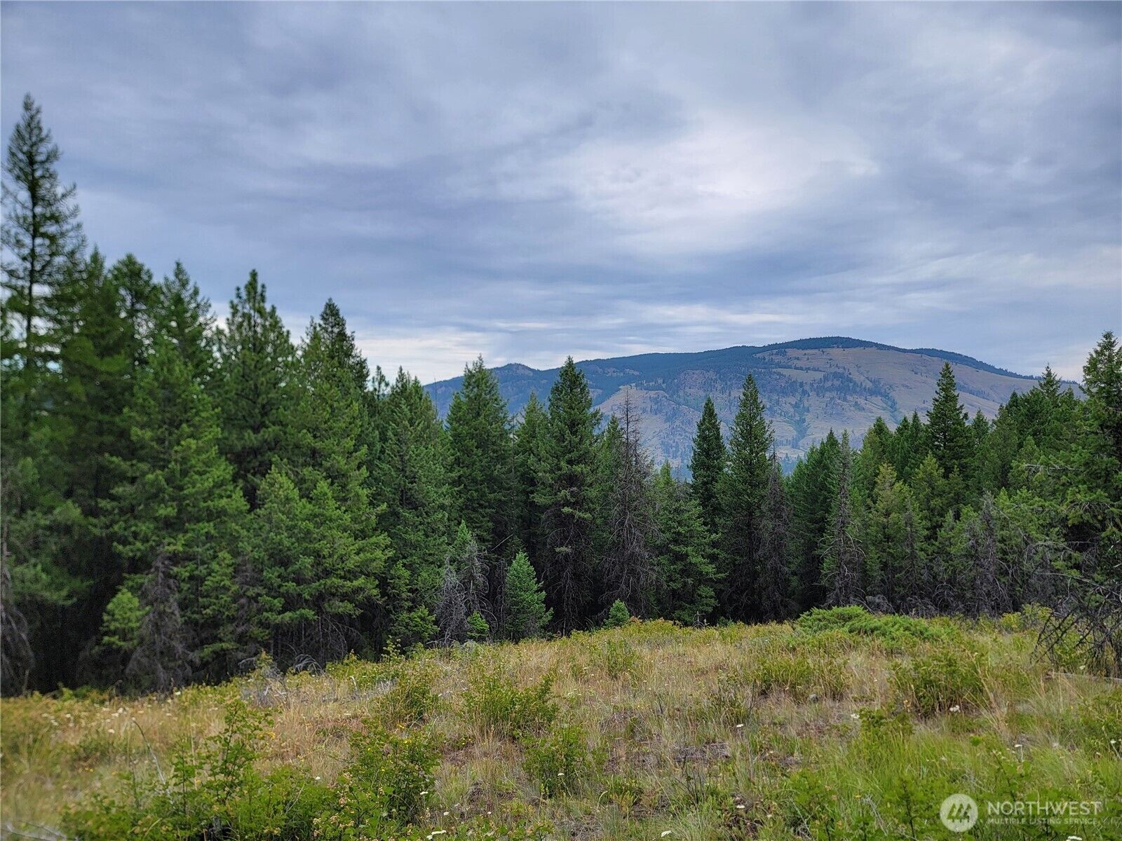Property Photo:  0  Dragon's Lair Lane  WA 99118 