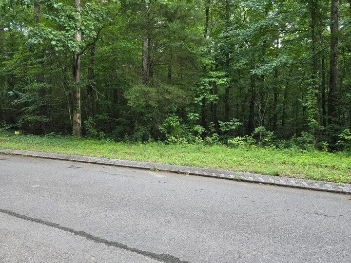 Property Photo:  Lot 144 Lower Brow Road  TN 37327 
