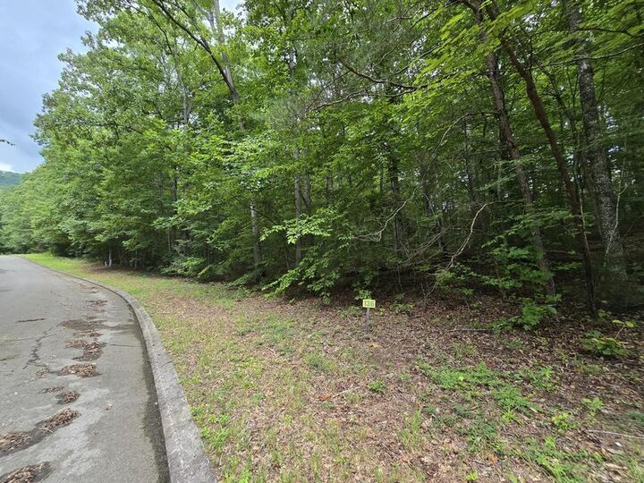 Property Photo:  Lot 136 Lower Brow Road  TN 37327 