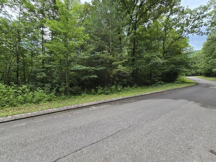 Property Photo: Lot 135 Lower Brow Road TN 37327